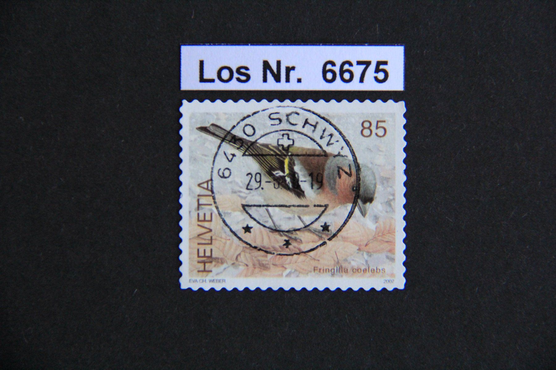 Tutti i francobolli: CH 2007 sauberer Vollstempel                        Los 6675 – Usato da Volken venduto da jukon65