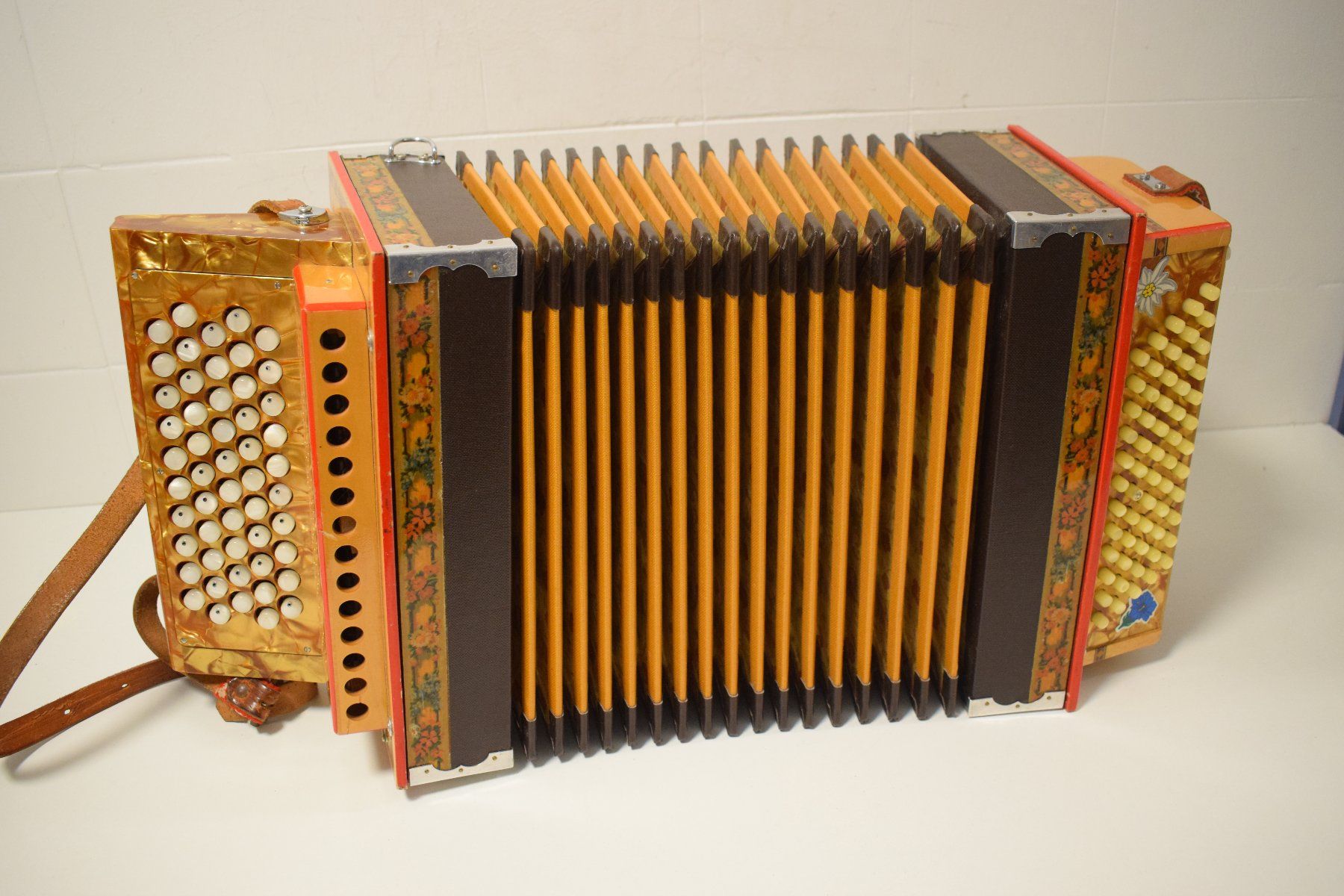 Strumenti musicali: Chromatisch Schwyzerörgeli – Usato da Zürich venduto da Brockito 7