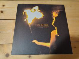 Birds In Row - Personal War