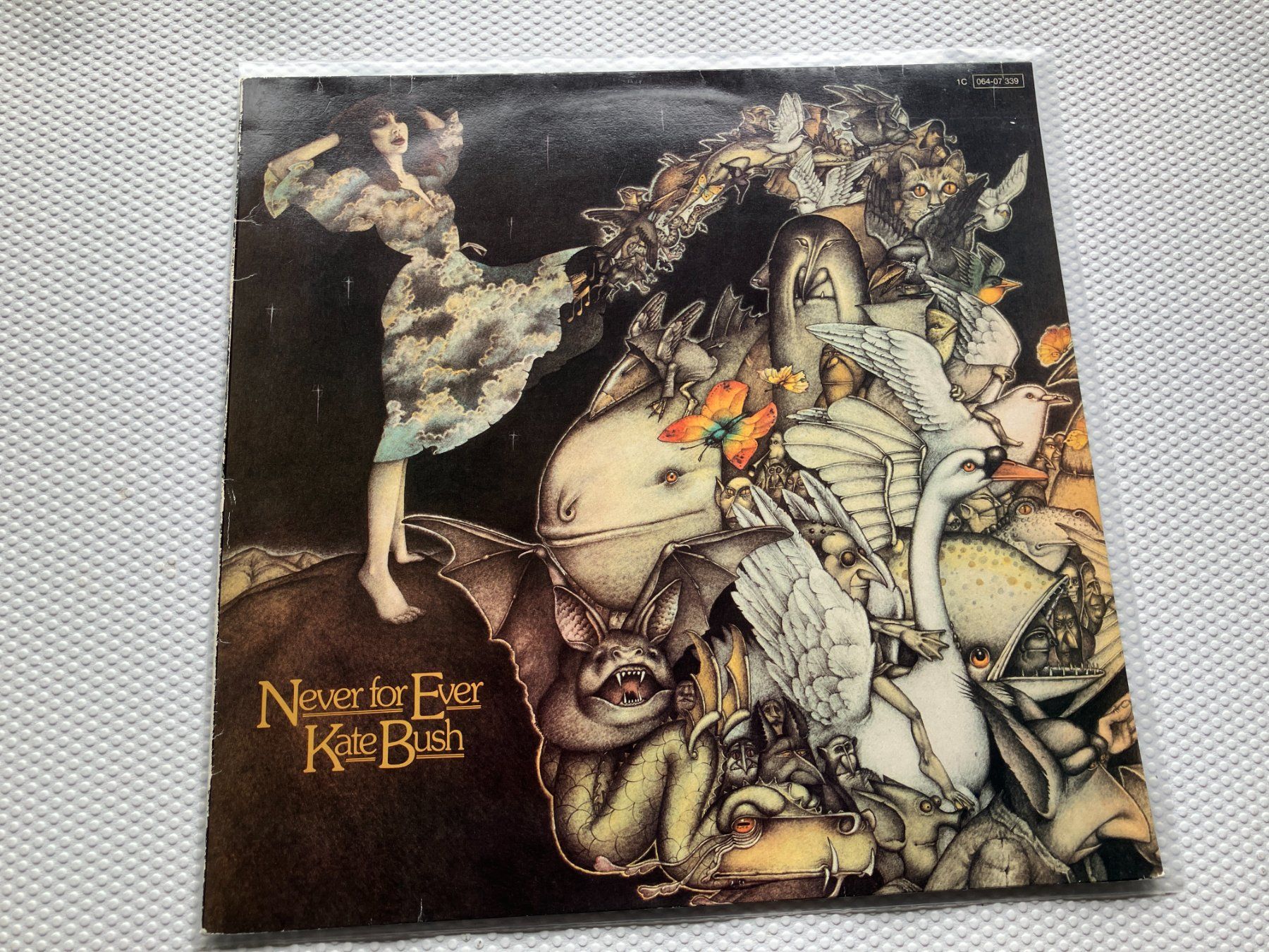 Dischi in vinile: Kate Bush – Usato da Aarwangen venduto da Jukebox3