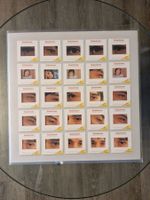 LP - John Cale - Academy In Peril - Vinyl - Neu