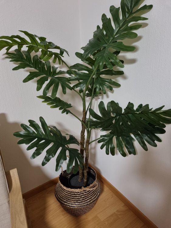 Künstliche Pflanze Ikea Kaufen auf Ricardo