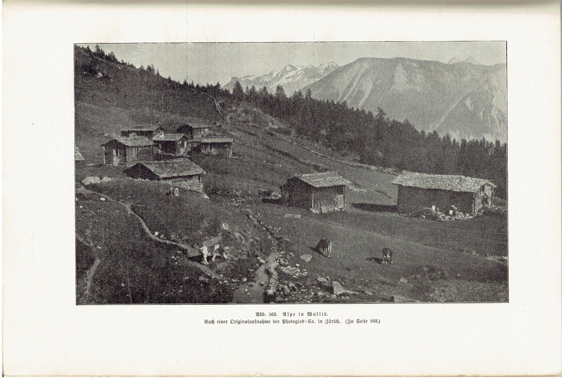 Bücher: Schweiz von J.C. Heer  1902 – Gebraucht aus Flims - Dorf von Stagediver 9