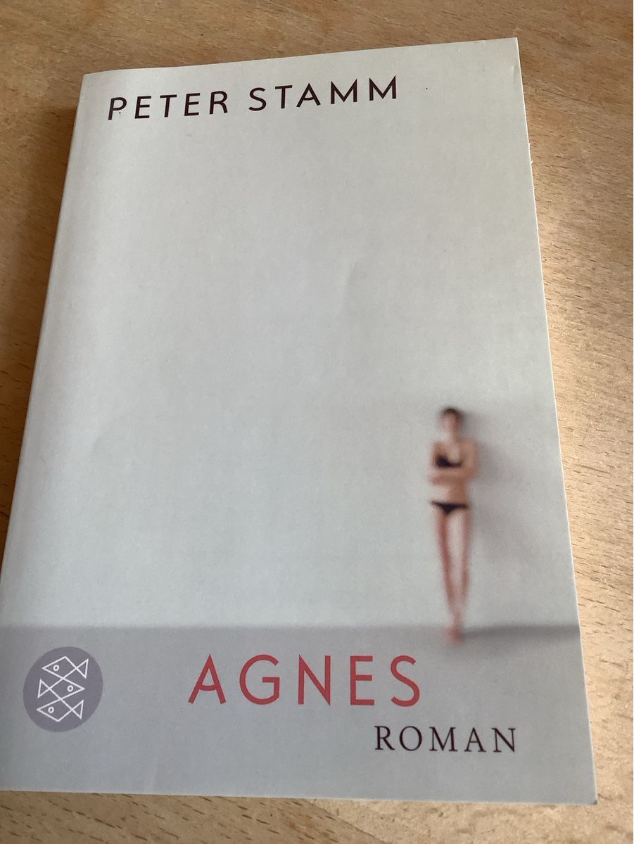 Bücher: Peter Stamm | Agnes – Gebraucht aus Saas-Balen von kircin