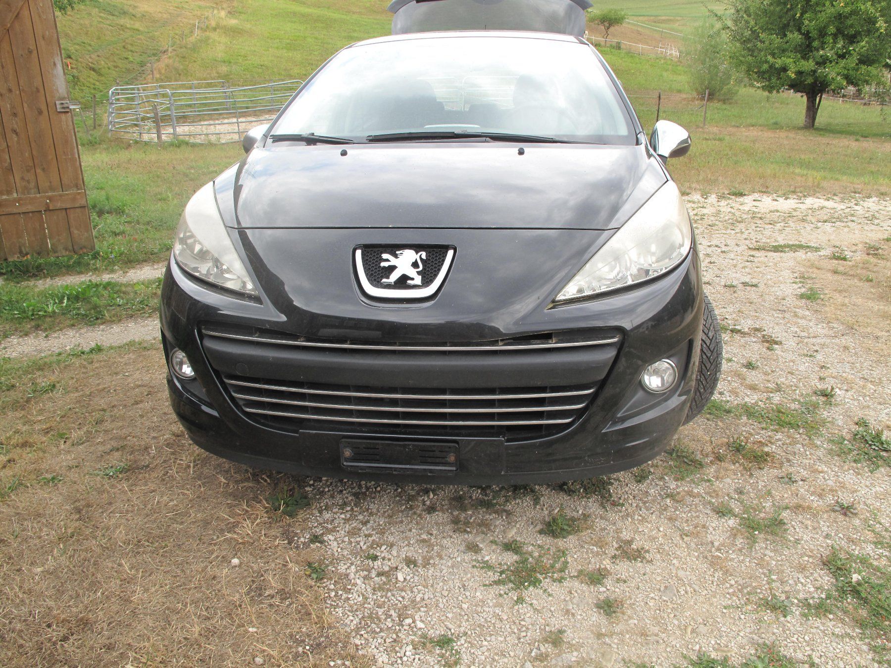 Peugeot Automobili: Peugeot 207 essence – Usato da vermes venduto da chuchot 5