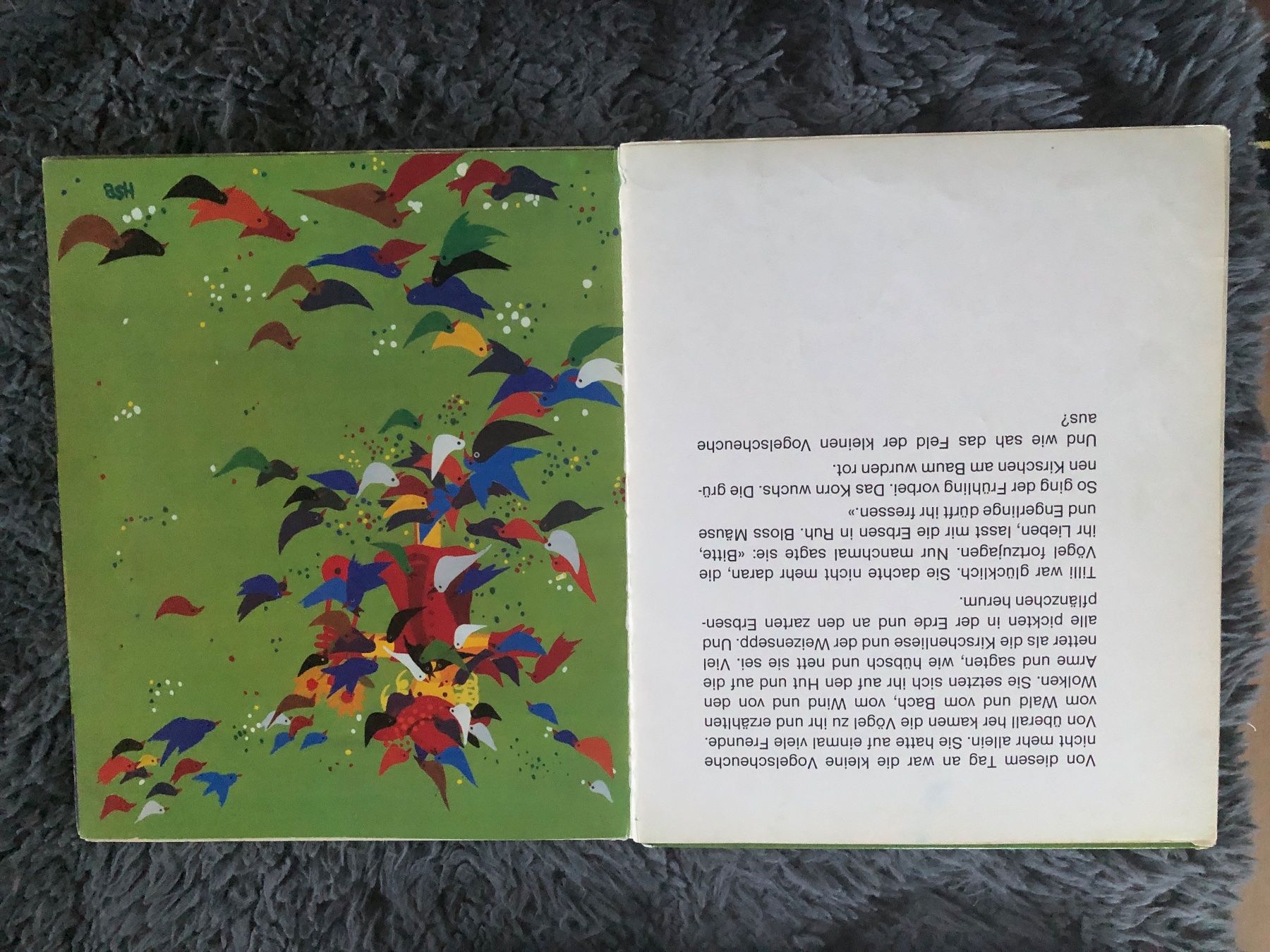 Libri: Bilderbuch; Tilli die kleine Vogelscheuche – Usato da Hinwil venduto da dadalina76 1