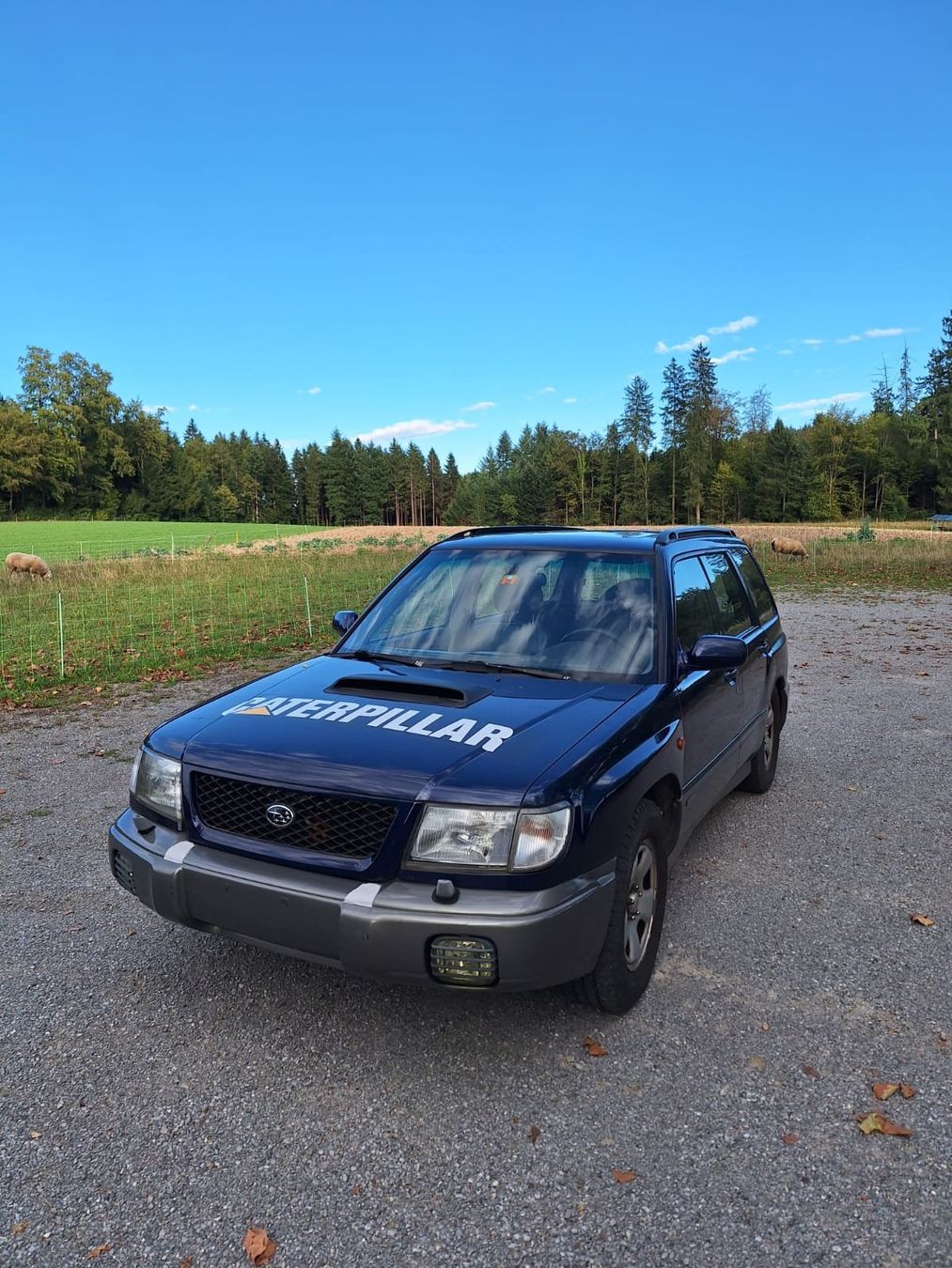 Subaru Autos: Subaru Forester 2.0 Turbo – Défectueux à Eriswil par Dieselflink 1