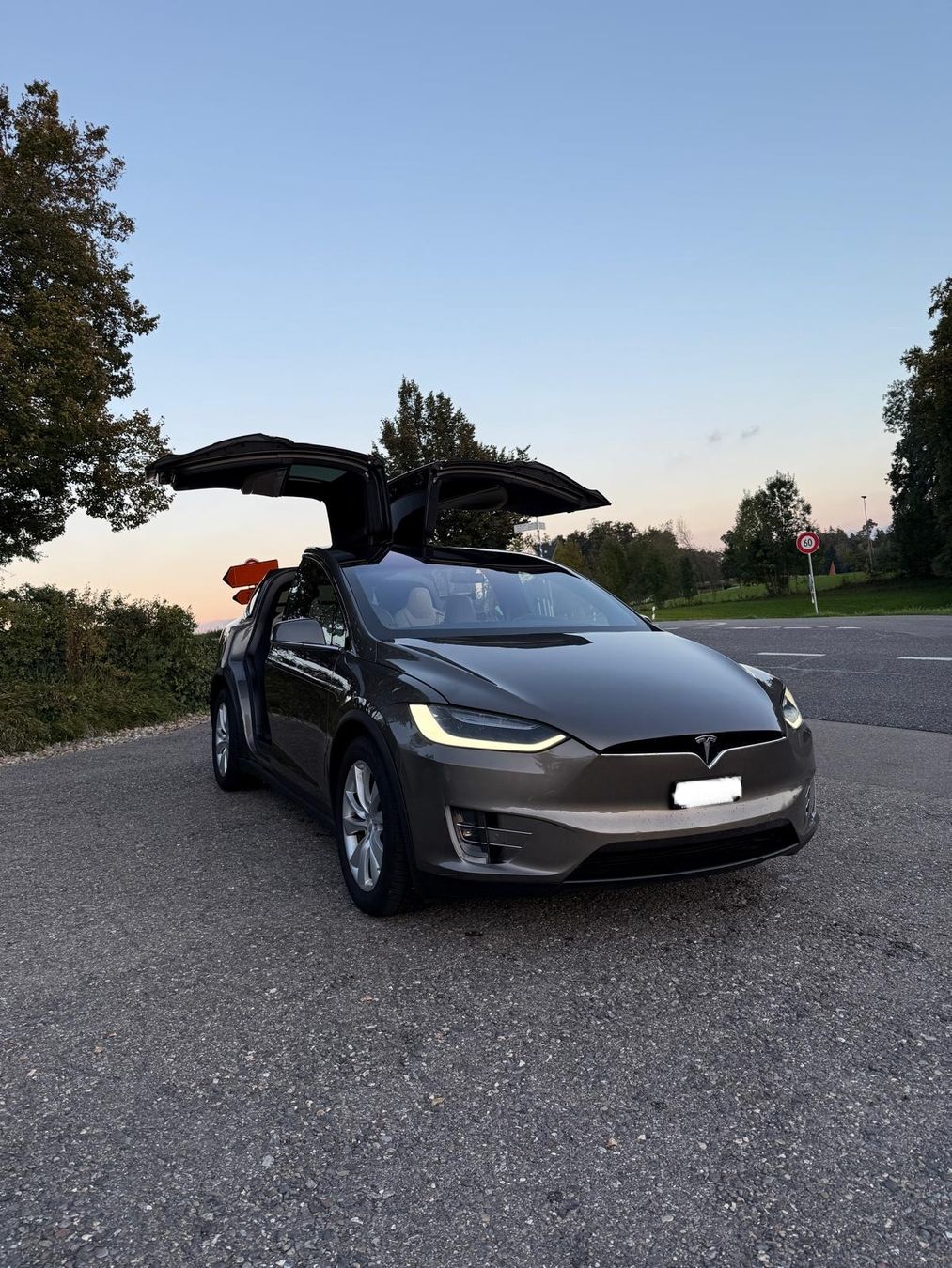 Tesla Automobili: Tesla Model x 90D Free Supercharge – Usato da Tann venduto da Samimi02 1