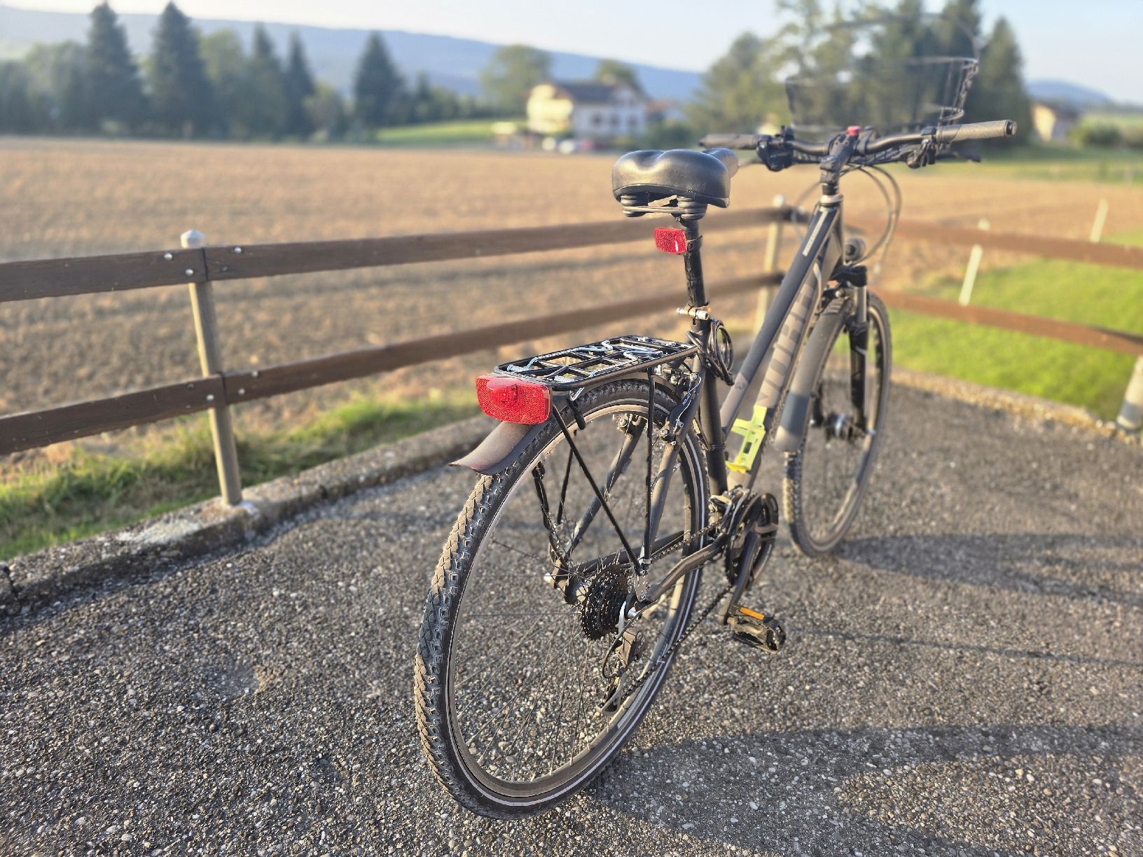 Winora Biciclette: Winora Damenrad – Usato da Wahlen b. Laufen venduto da C.Norris 1
