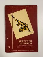 Schreibers kleine Atlanten Kriechtiere Lurche, ab 1925