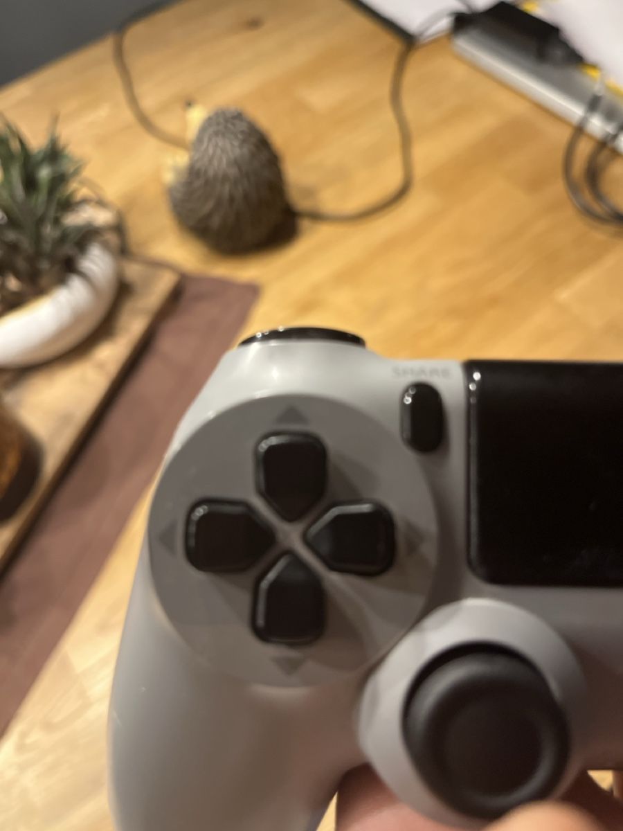 Sony Controller: Ps4 Controller – Gebraucht aus Flawil von Poltis 3