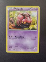 Venipede 51/146 Pokémon XY Base Set 2014 (EN) ab 1.-