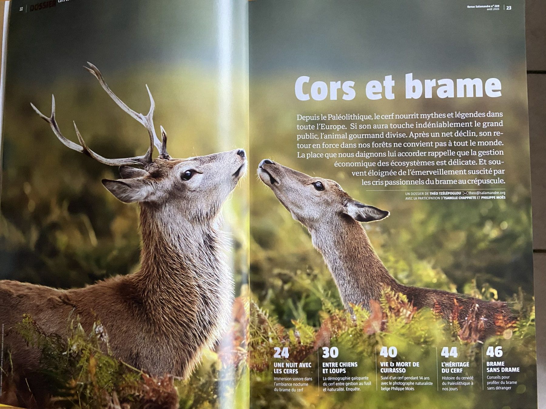 Riviste & Magazine: Revue Salamandre : Collection complète printemps en nature! – Nuovo (secondo la descrizione) da Neuchâtel venduto da marevecor 6