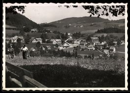 AK Schachen-Reute /App., Ortsansicht mit Wiese