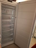 Gefrierschrank NoFrost A+++ XL, Bauknecht GKN ECO 18