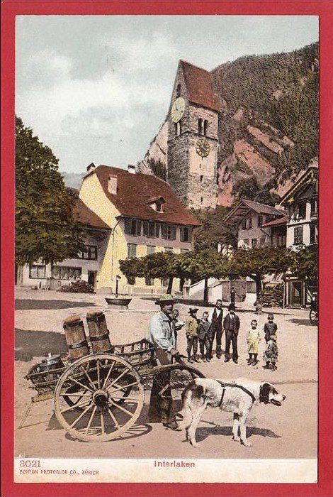 Cartoline postali: INTERLAKEN HUNDEGESPANN, ATTELAGE DE CHIEN – Usato da Grüningen venduto da Kartenlaube