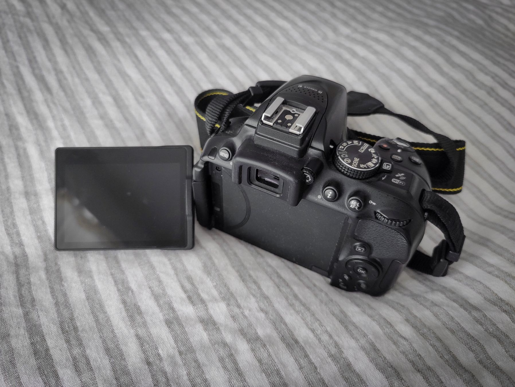 Nikon Kamera: Nikon D5300 mit Rode Mikrofon und Filter – Gebraucht aus Grenchen von Radav 2