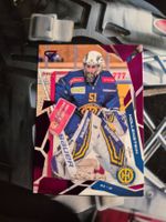 Luca Hollenstein HC Davos  2025/26 Sportzoo Pink
