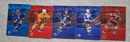 Sportzoo National League 25/26 rookie 
