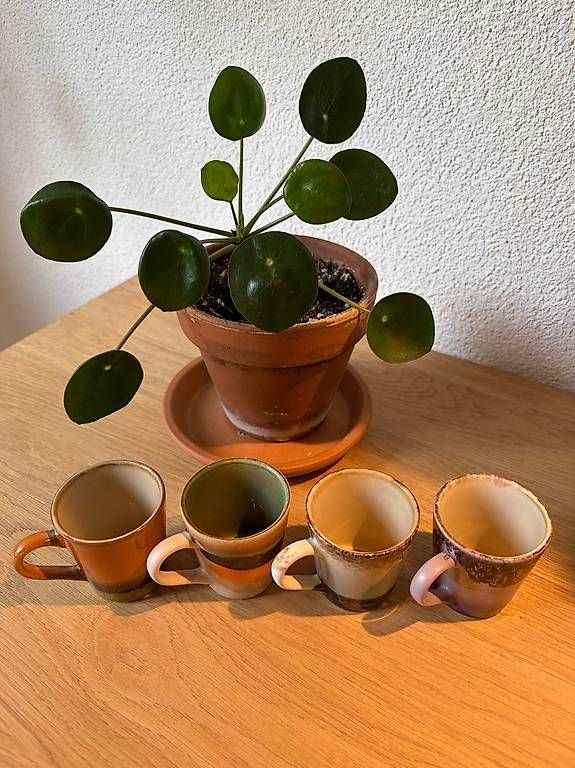 Tazze: HKliving Keramik-Espressotassen – Usato da Winterthur venduto da sto_n6lj 1