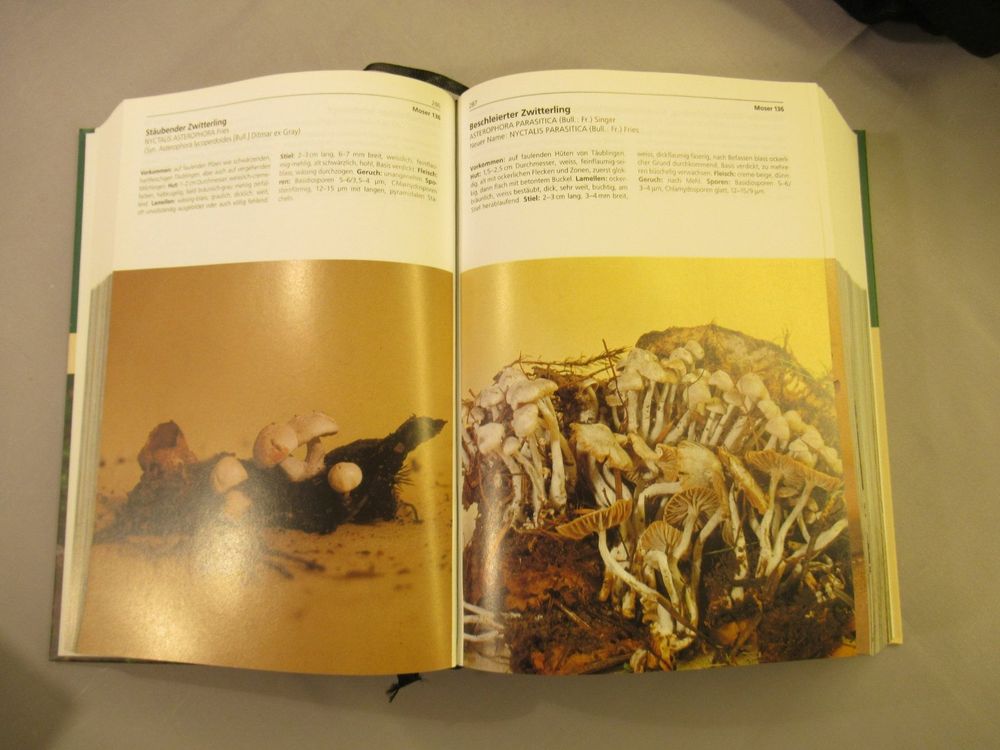 1200 Pilze, in Farbfotos von Rose Marie Dähncke, 2009 | Kaufen auf Ricardo