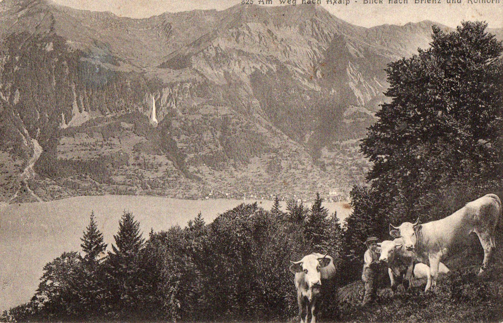 Cartoline postali: Am Weg nach Axalp – Usato da Melano venduto da pisonsdro