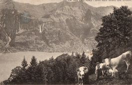 Am Weg nach Axalp