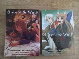 Manga - Taschenbuch