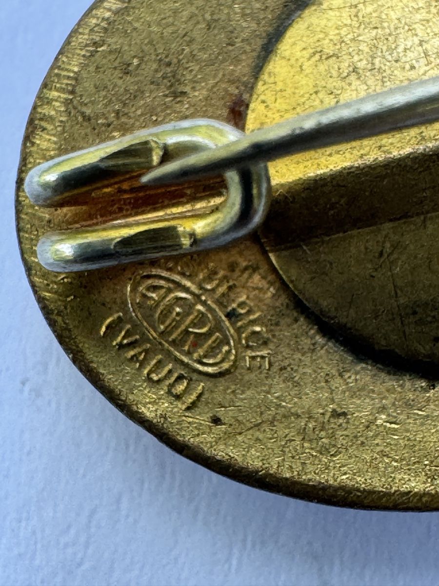 Médailles: Médaille Vaud Broche Vaud – D'occasion à GRAND - LANCY par petitpain67 2