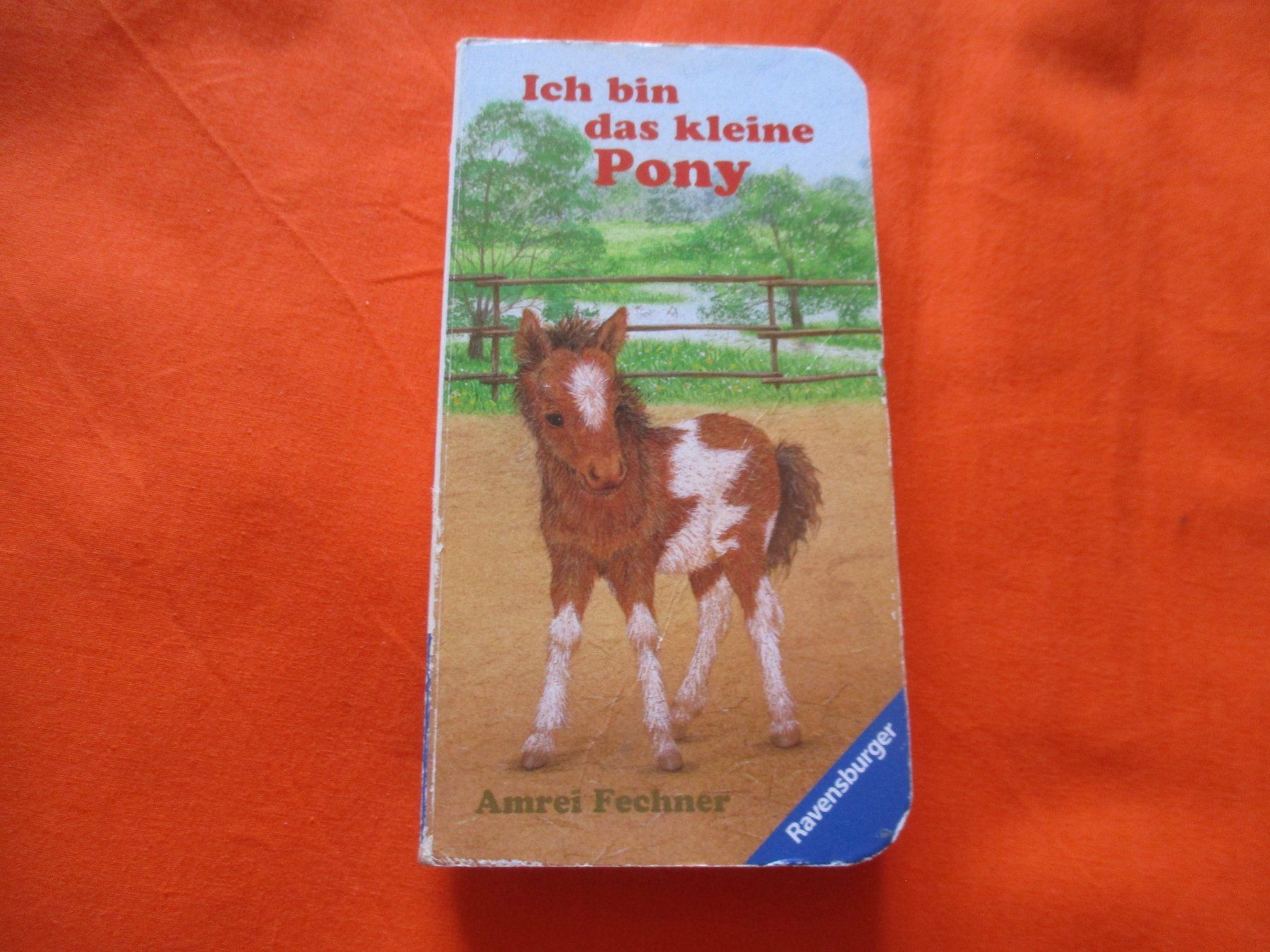 Bücher: Buch ich bin das kleine Pony – Gebraucht aus Birsfelden von alles-muss-raus