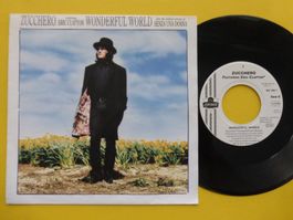 Zucchero Featuring Eric Clapton – Wonderful World