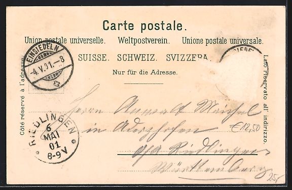 Cartoline postali: Litho Einsiedeln, Panorama vom Ort mit A – Usato da Berlin venduto da bartko-reher 1