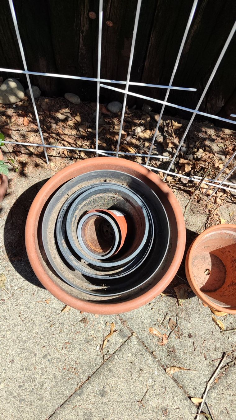 Migros Vasi per fiori: Gartenmaterial, Erde, Blumentöpfe, Gitter, Anzuchts-Set – Usato da Brüttisellen venduto da nic_xm7s