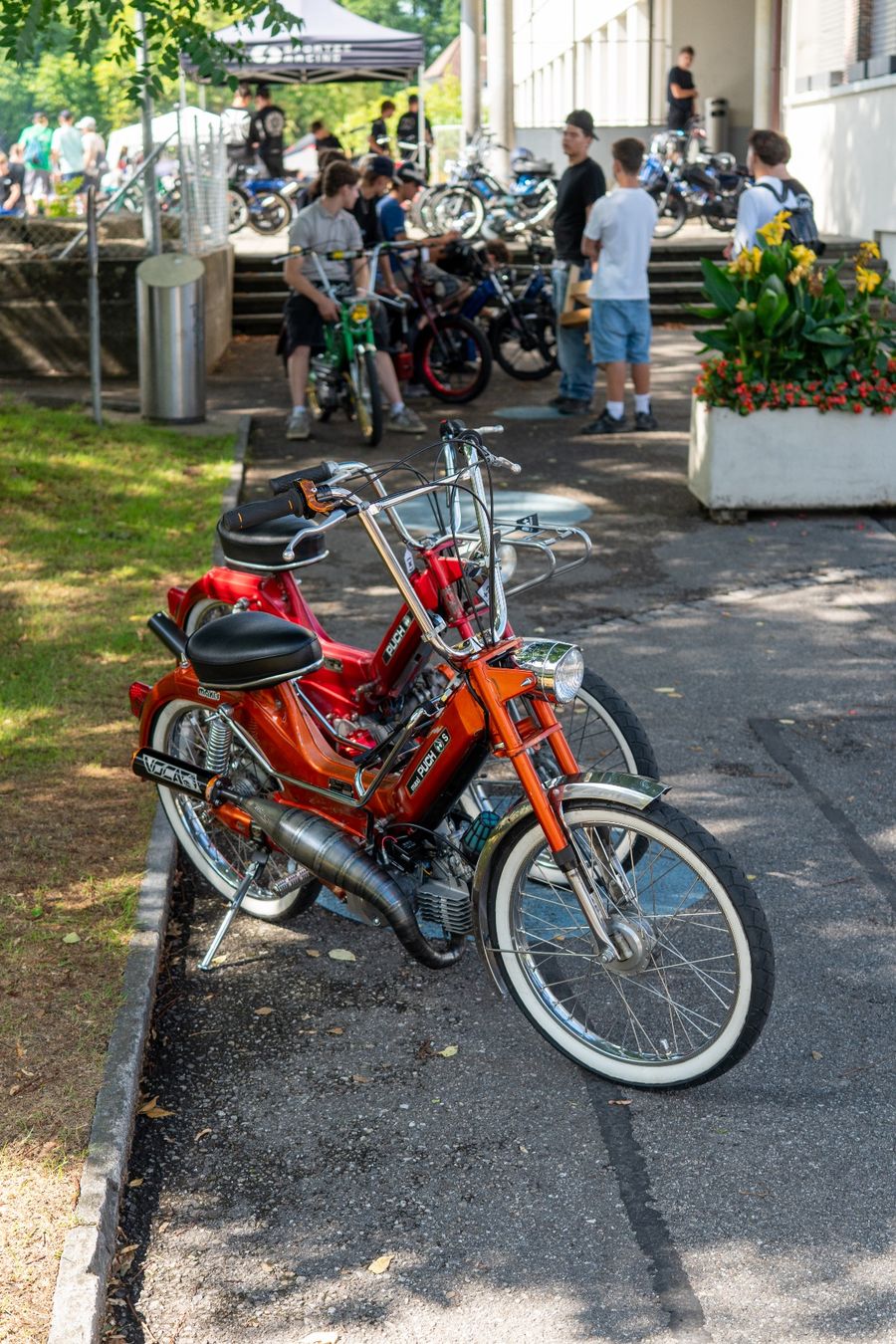 Puch Mofas: Puch Maxi S Originallack – Gebraucht aus Alchenflüh von LarFyn 6