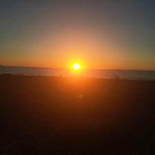 Profile image of salerno007
