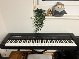 Roland RD-500 Digitalpiano – Komplettset mit Boxen, Ständer 