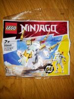 LEGO NINJAGO 30649 - Eisdrache