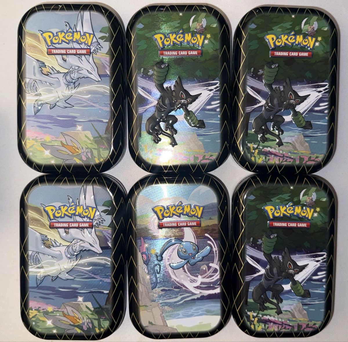 Pokémon Carte collezionabili: Pokemon Mini Tin Display (Leer/Empty) – Usato da Bern venduto da Ludixii 1