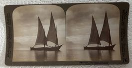 Segler auf Genfersee - Stereobild - Stereoskopie -Stereofoto