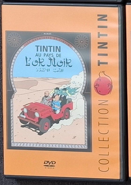 Tutti i DVDs: DVD Collection Tintin – Usato da Lussery-Villars venduto da chanson99