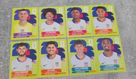 Panini WM 2026- USA