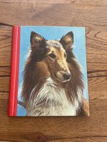Antikes Schweizer Buch: Der Hund dein Freund, TOP Zustand!
