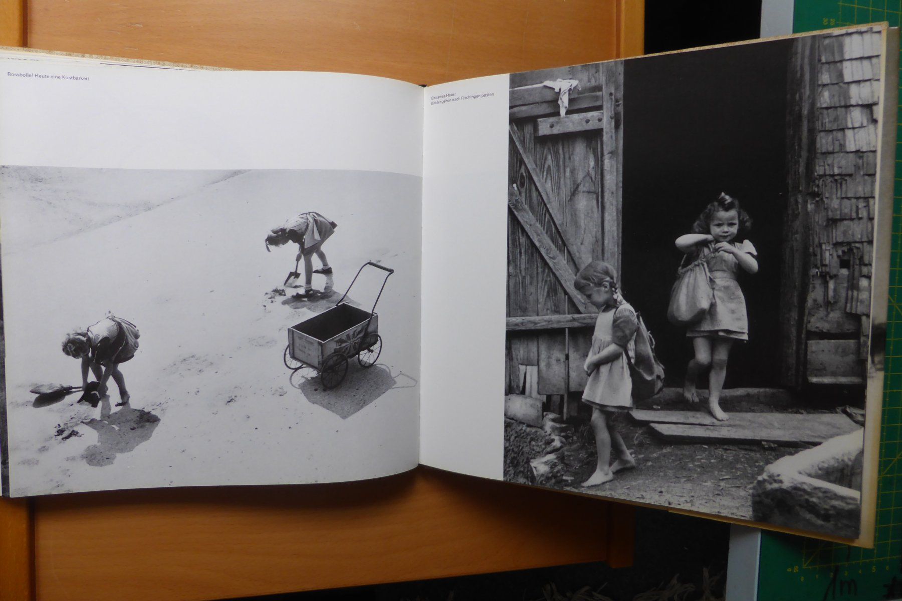 Libri: Hans Baumgartner - Thurgau - 180 Fotographien – Usato da Brunnadern venduto da lesezirkel 8
