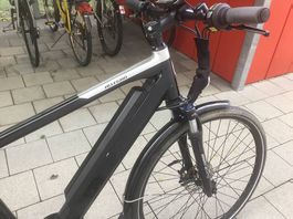 Elektrisch Fahrrad Allegro