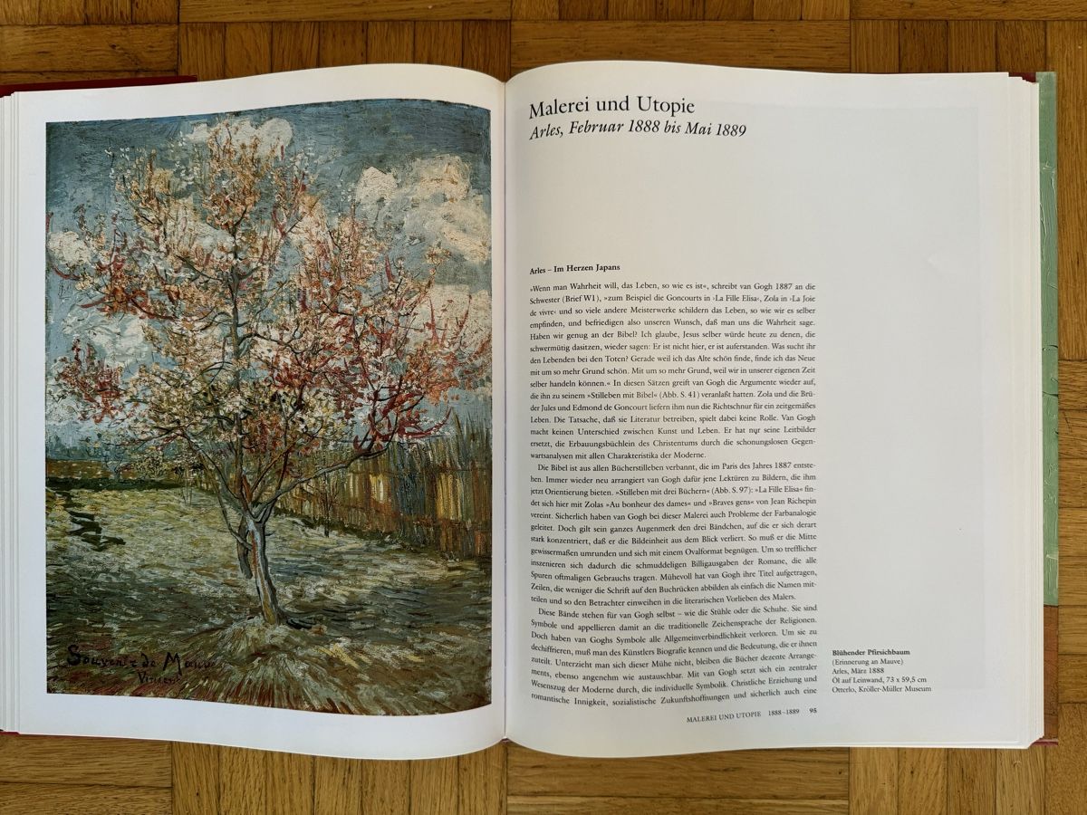 Libri: Van Gogh Buch – Nuovo (secondo la descrizione) da Basel venduto da nla_zp8b 1