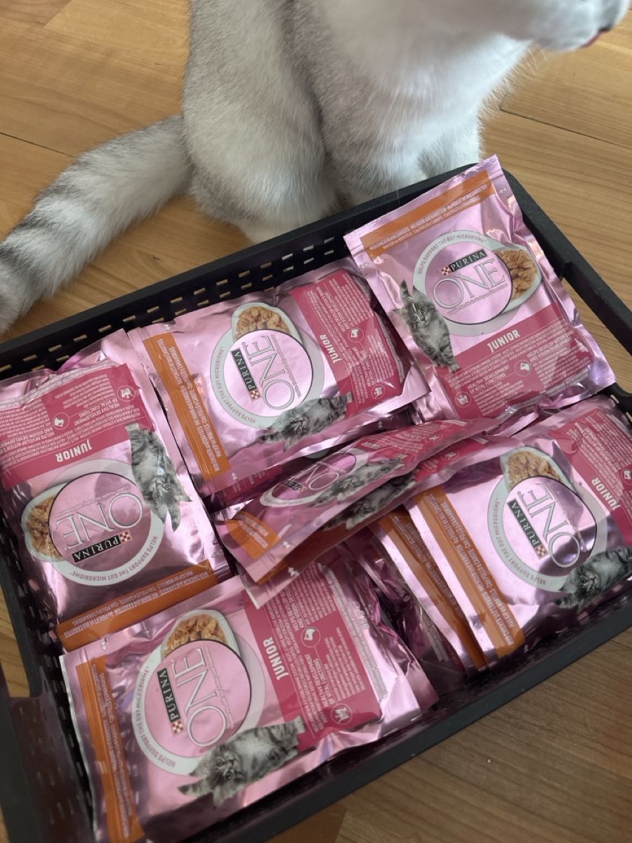Mangimi: Pâtée pour chaton  – Nuovo e nell'imballaggio originale da Crissier venduto da dor_8d67 1