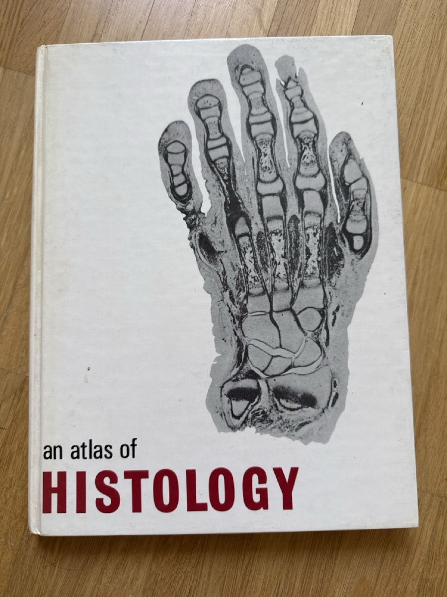 Bücher: Biomedical / medical studies books – Gebraucht aus Pieterlen von L.Huber 2