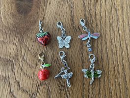 6 Charms