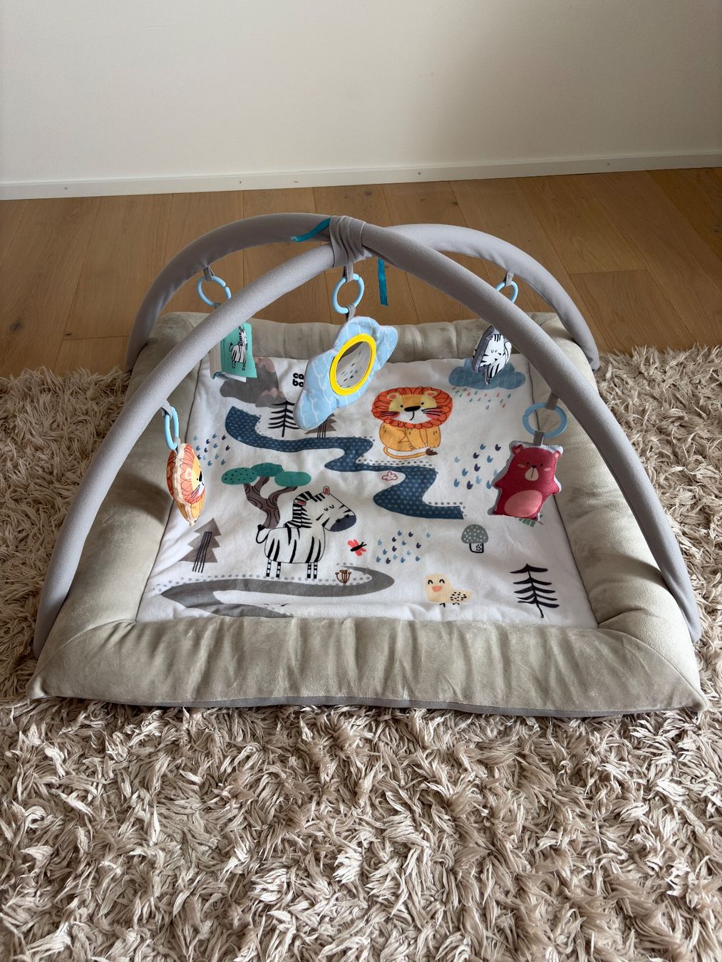 Tappeto da gioco: Canpol Babies Playmat/Spielmatte – Nuovo (secondo la descrizione) da Grüningen venduto da kaelstrom69