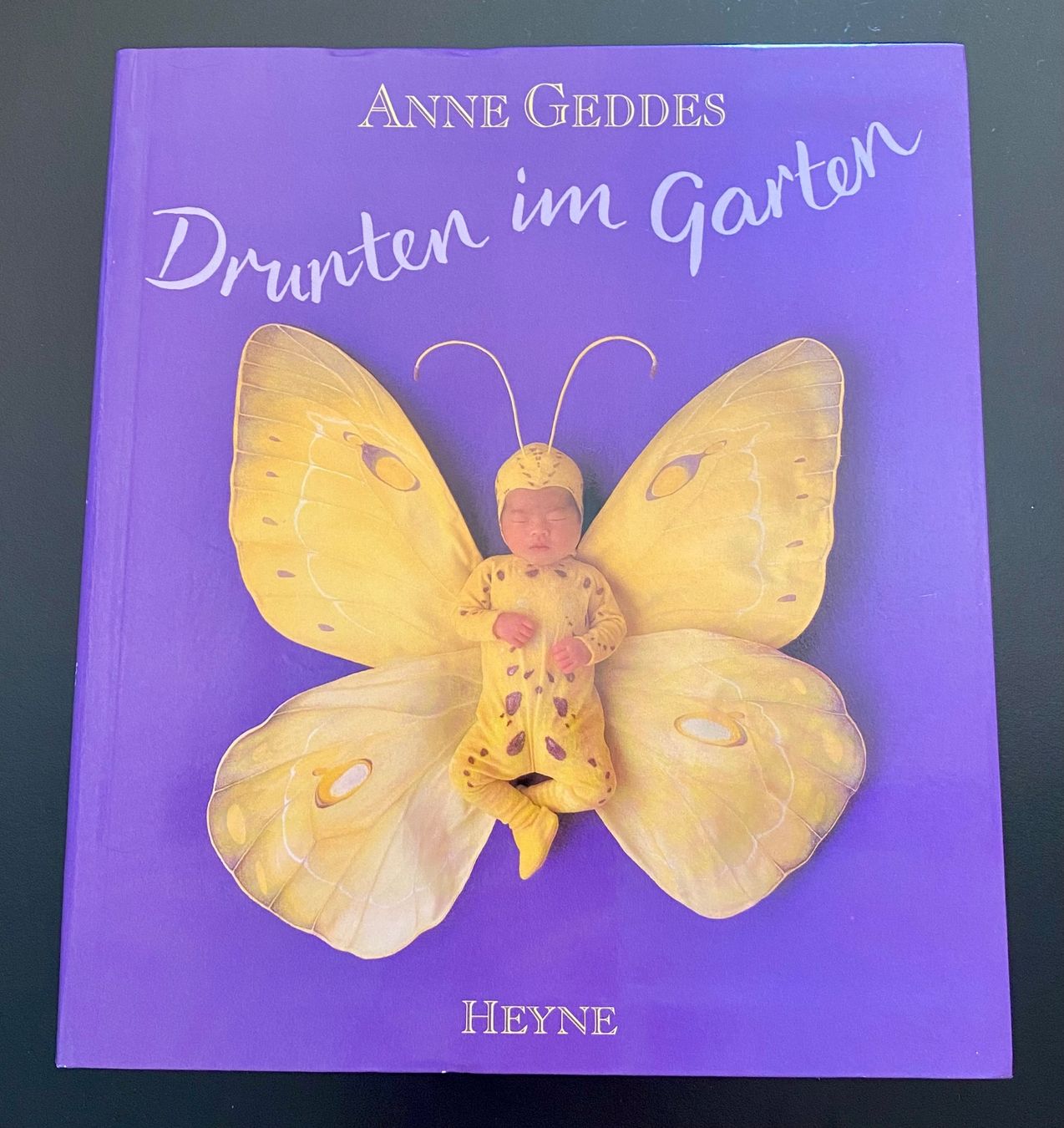 Libri: DRUNTEN IM GARTEN / ANNE GEDDES – Usato da Nussbaumen AG venduto da schuba2000
